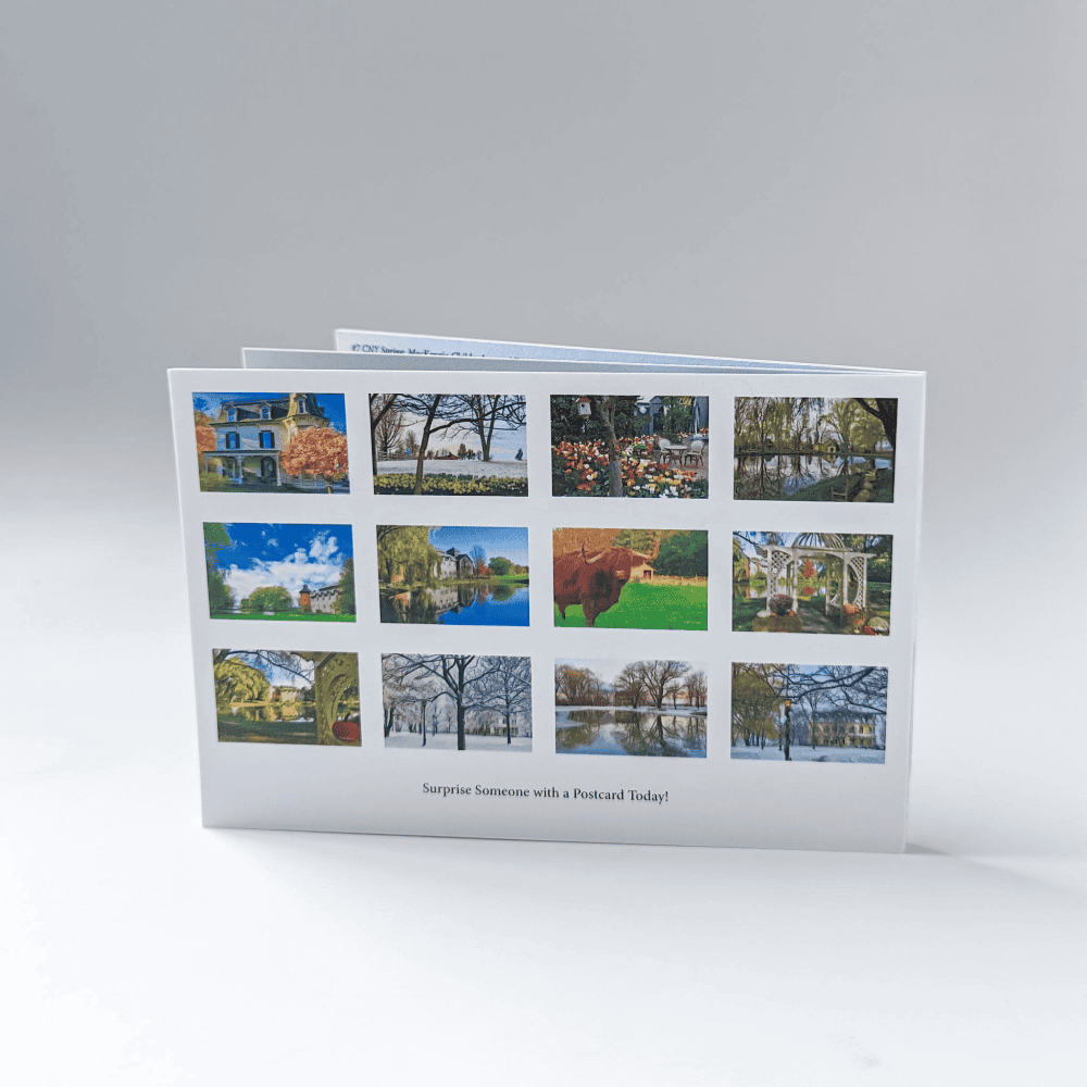 MacKenzie Childs - 12 Postcards