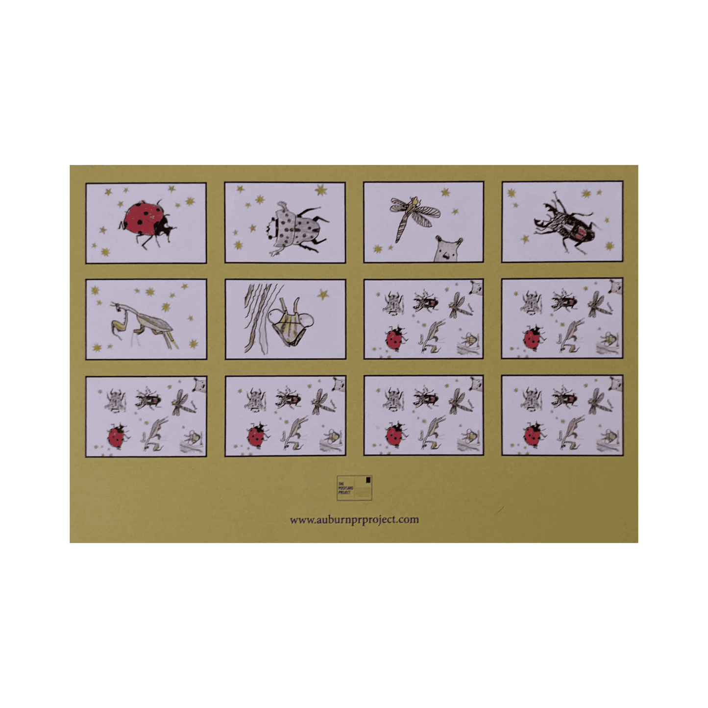 BUG! -12 Postcards