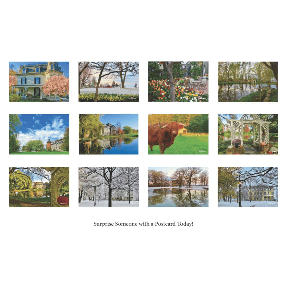 MacKenzie Childs - 12 Postcards