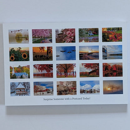 Todd Tanner Seasons - 20 Postcards