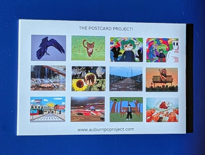 BOCES Graphic Design 12-Pack Postcard Set